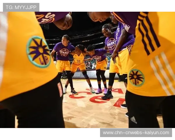 神秘人95-86击败火花，西特伦得分24分